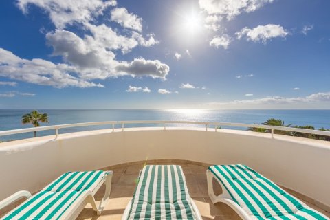 3 bedrooms Penthouse in Dinh An, Vietnam No. 83954 1