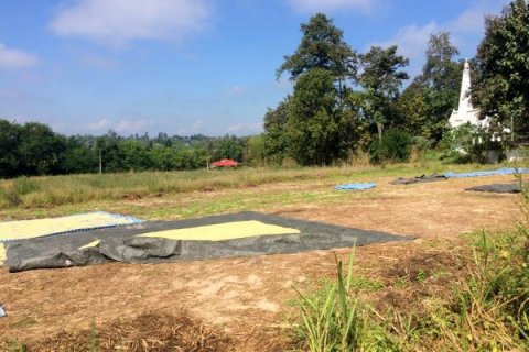 Land in Chiang Mai, Thailand No. 97637 3