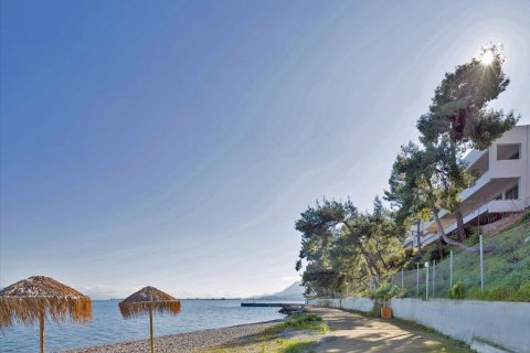 2 bedrooms Maisonette in Agios Konstantinos, Greece No. 59394 4