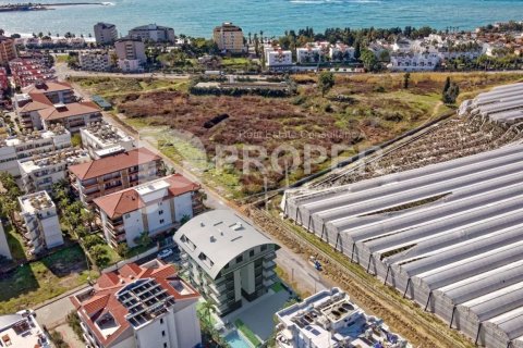 4 habitaciones Apartment en Chau Lang, Vietnam No. 11624 7