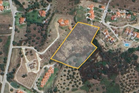 7216m² Land in Chalkidiki, Greece No. 109113 3