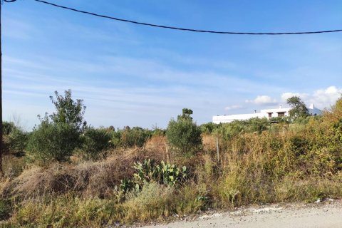 3685m² Land in Chalkidiki, Greece No. 56430 5