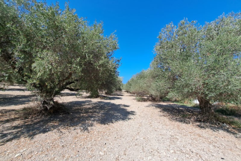 7574m² Land in Chania, Greece No. 104419 3