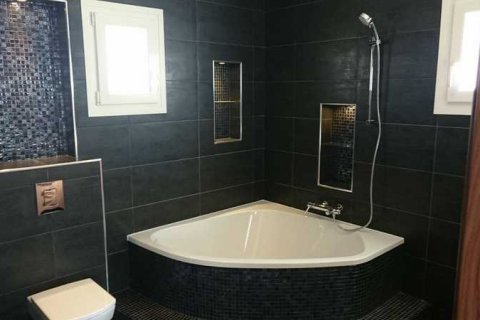 5 bedrooms House in Limassol, Cyprus No. 101100 14