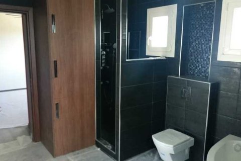 5 bedrooms House in Limassol, Cyprus No. 101100 15