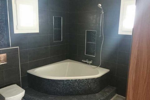 5 bedrooms House in Limassol, Cyprus No. 101100 8