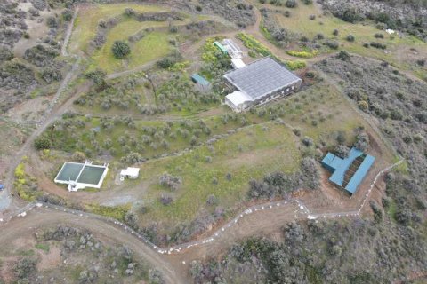 Commercial property à Sanida, Cyprus No. 104313 3