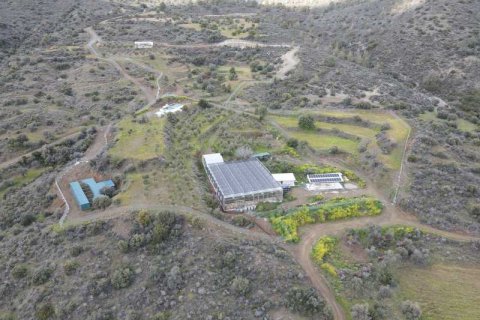 Commercial property à Sanida, Cyprus No. 104313 8