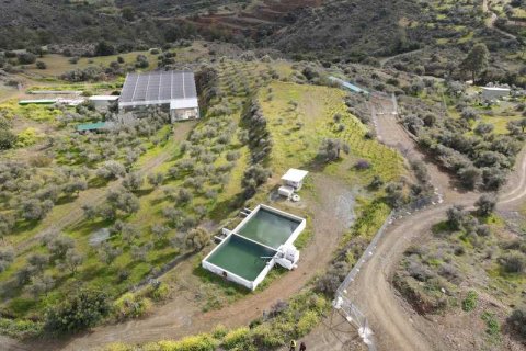 Commercial property à Sanida, Cyprus No. 104313 4