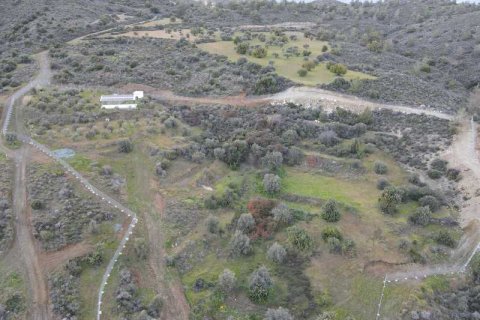 Commercial property à Sanida, Cyprus No. 104313 11