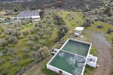 Commercial property à Sanida, Cyprus No. 104313 5