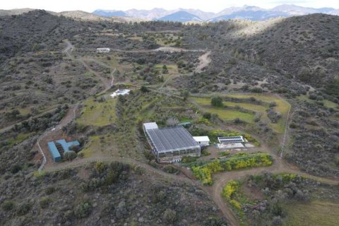 Commercial property à Sanida, Cyprus No. 104313 1