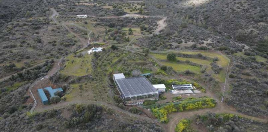 Commercial property à Sanida, Cyprus No. 104313