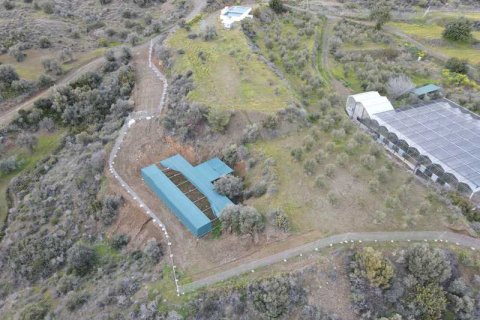 Commercial property à Sanida, Cyprus No. 104313 6