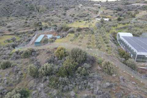 Commercial property à Sanida, Cyprus No. 104313 9