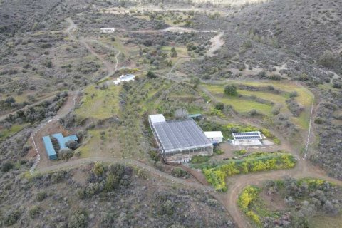 Commercial property à Sanida, Cyprus No. 104313 7