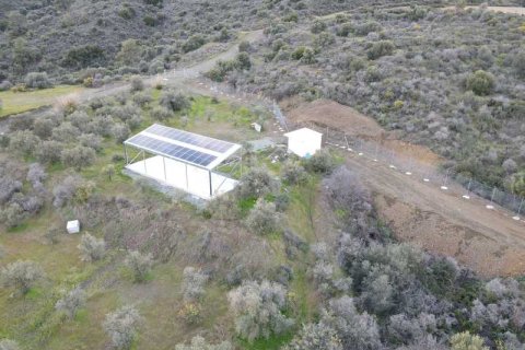 Commercial property à Sanida, Cyprus No. 104313 2