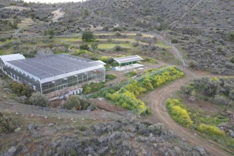 Commercial property à Sanida, Cyprus No. 104313 10