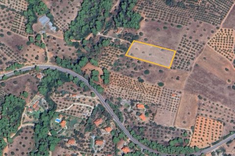 5500m² Land in Chalkidiki, Greece No. 109190 3