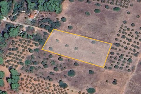 5500m² Land in Chalkidiki, Greece No. 109190