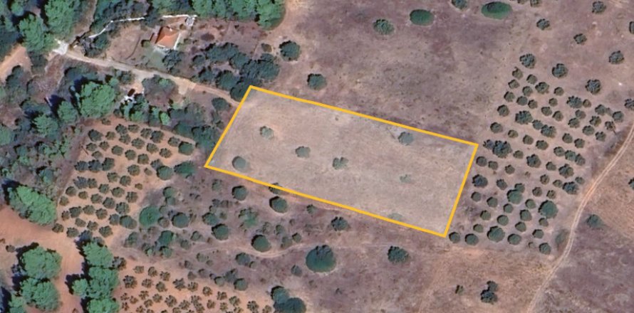 5500m² Land en Chalkidiki, Greece No. 109190