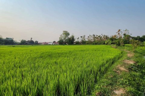 Land in Chiang Mai, Thailand No. 98246 5