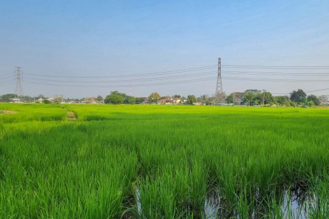 Land in Chiang Mai, Thailand No. 98246 9