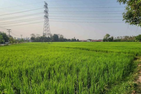 Land in Chiang Mai, Thailand No. 98246 16