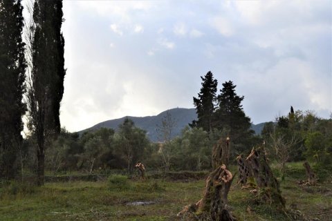 1 room Land à Corfu, Greece No. 56811 1