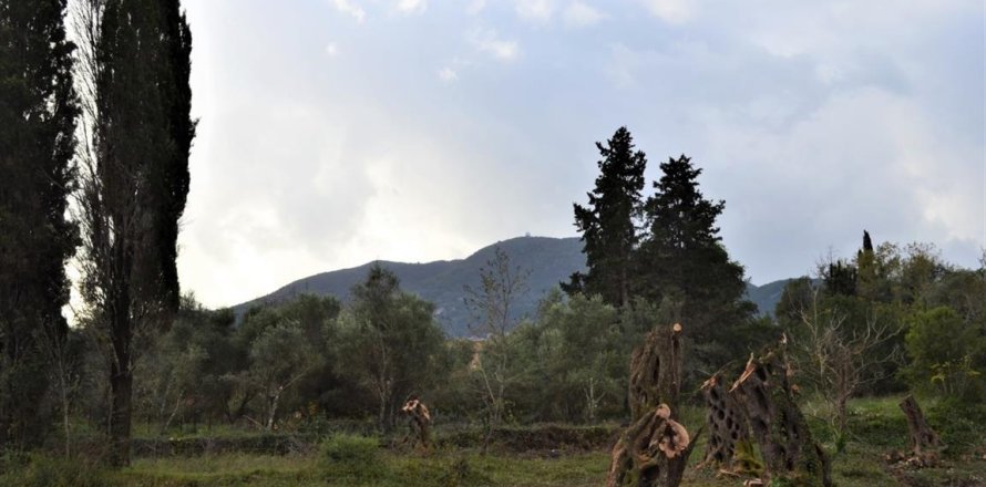 1 room Land à Corfu, Greece No. 56811