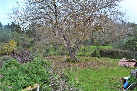 1 room Land à Corfu, Greece No. 56811 5