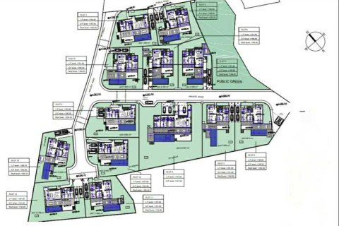 4 chambres Villa à Pegeia, Cyprus No. 84464 6