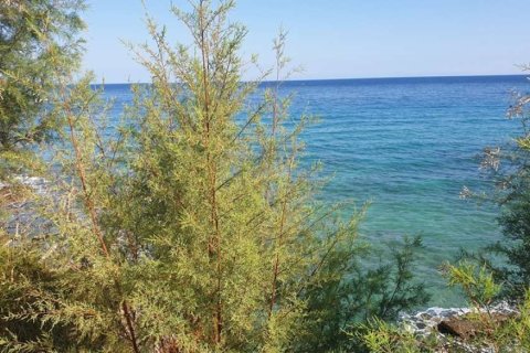 5 bedrooms Villa in Zakynthos, Greece No. 28104 22