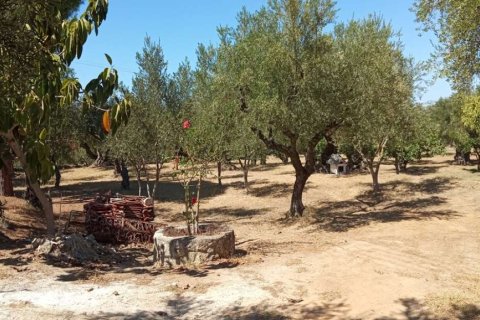 Land en Zakynthos, Greece No. 24641 7