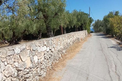 Land en Zakynthos, Greece No. 24641 1