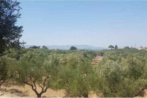 Land en Zakynthos, Greece No. 24641 3