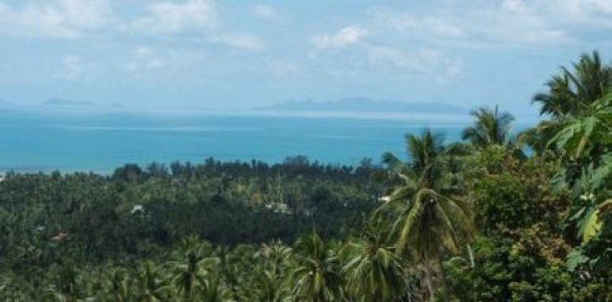 11636m² Land on the Ko Samui, Thailand No. 95716