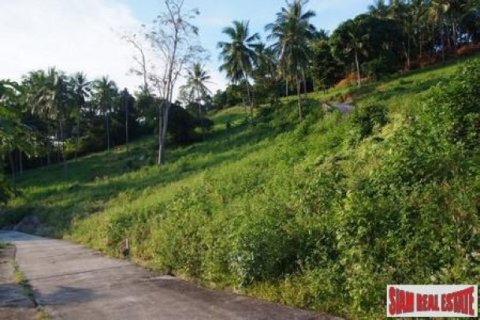 11636m² Land in Ko Samui, Thailand No. 95716 11