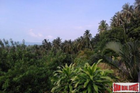 11636m² Land in Ko Samui, Thailand No. 95716 3