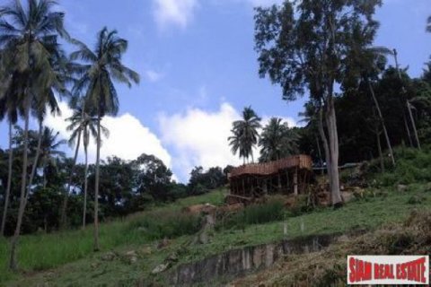 11636m² Land in Ko Samui, Thailand No. 95716 5