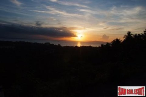 11636m² Land in Ko Samui, Thailand No. 95716 10