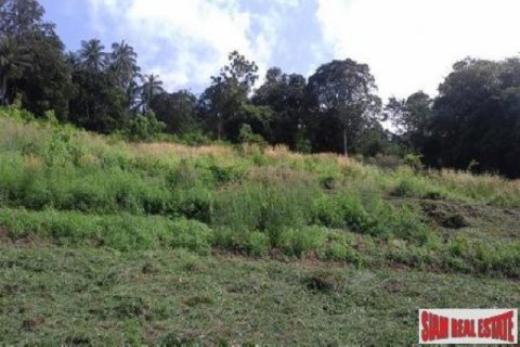 11636m² Land in Ko Samui, Thailand No. 95716 6