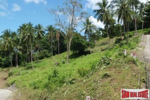 11636m² Land in Ko Samui, Thailand No. 95716 13