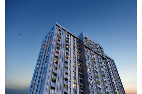 Квартира с 2 спальнями в Tien Lang, Вьетнам №16837 21