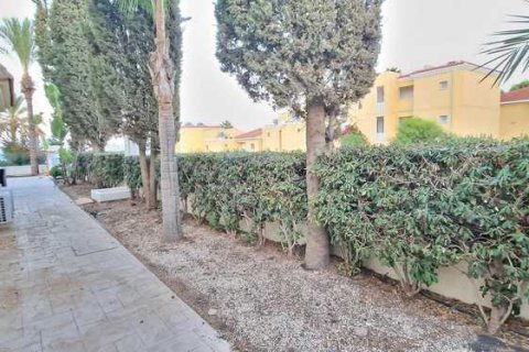 Вилла с 3 спальнями в Паралимни, Кипр №71906 7