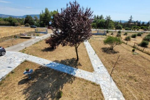 4 dormitorios House en Thermi, Greece No. 107369 28