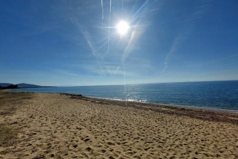 768m² Land in Polygyros, Greece No. 109034 3