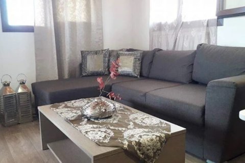 300m² Business in Chalkidiki, Greece No. 108111 4