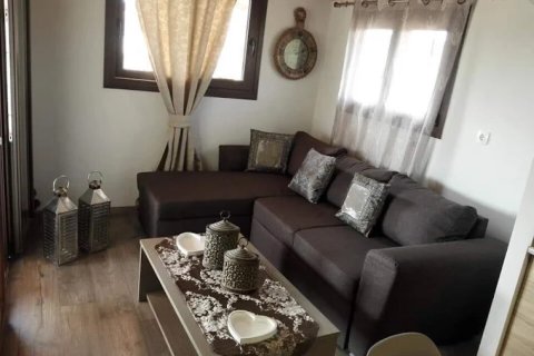 300m² Business in Chalkidiki, Greece No. 108111 16