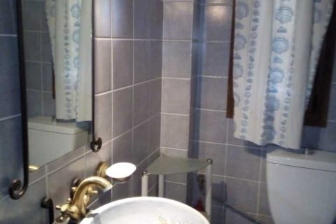 Дом с 5 спальнями в Халкидики, Греция №108737 21